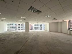 PLUS (D1), Office #559883311